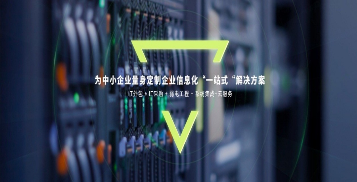 運維服務管理體系_服務器運維技術_運維項目服務巡檢報告