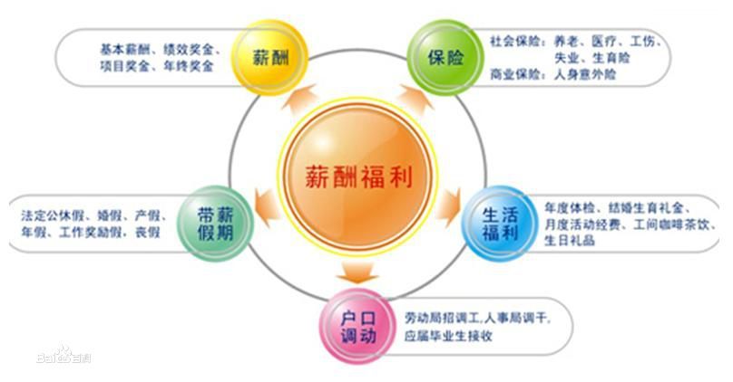 it人員是什么_it人員工作職責_it技術人員